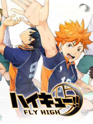 HAIKYU!! FLY HIGH