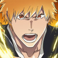 Bleach: Soul Resonance 