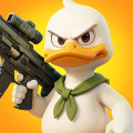 Duck Survival