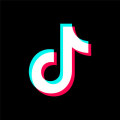 TikTok (CN)