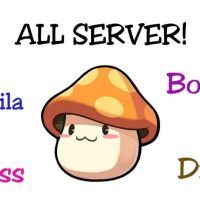 MapleStory SEA Game Coins - Aquila (24 Hours Online, PM me to deal now)