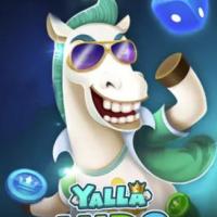 Yalla Ludo -27640 Diamonds,USD 50 Only need User ID