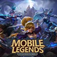 Mobile Legends (Indonesia Only) Weekly Diamond Pass Mobile Legends UID Only Indonesia Only