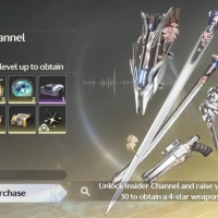 Wuthering Waves -via top up  Insider Channel