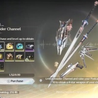 open 24 hr Wuthering Waves Insider Channel-10 USD SAFE