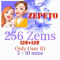 Fast Recharge 256 (128+128) ZEMS USE (Only User ID needed)