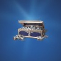 Age of Empires 4400 Coins (UID and SERVER need ONLY)
