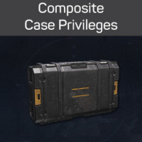 Arena Breakout - Composite Case Privileges