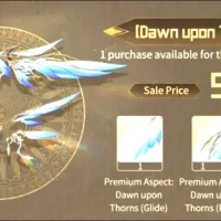 open 24 hr Wuthering Waves Dawn Upon Thorns-9.99USD