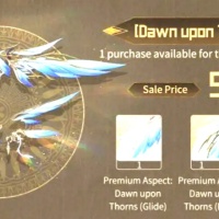 Wuthering Waves Dawn Upon Thorns-9.99USD