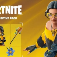 Fortnite Bee Positive Pack