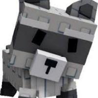 Grow a Garden > Raccoon