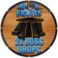 Blox Fruits > 2x drop chance [350R]