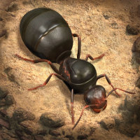 Top Up Fast & Safe The Ants: Underground Kingdom - 20000 Ant Coin [GLOBAL ONLY UID IS NEEDED]