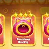 Cards Kandang Kucing - Higgs Domino Island HDI or Higgs Games Island HGI - Player Exchange - Instant Delivery 100%