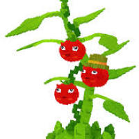 Plants vs Brainrots > Tomatrio  x5