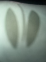 Gold mana ridge and frostwind