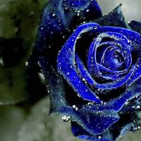 I have a large quantity