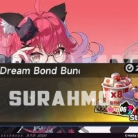 Neverness to Everness - NTE - Sweet Dream Bond Bundle $15 (LOGIN METHOD) **Need Account & Password to login**