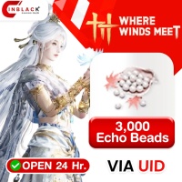 [INSTANT] Where Winds Meet - 3000 Echo Beads - 49.99$ Top up UID by Inblackm open 24 hr.