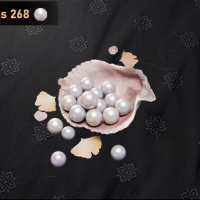 Where Winds Meet - 1800 Echo Beads (UID)