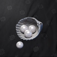 Where Winds Meet - 180 Echo Beads (UID)