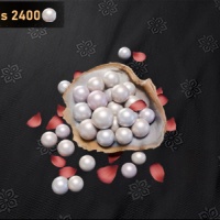 Where Winds Meet - 12000 Echo Beads (UID)