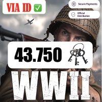 43750 Keys (43.750) - War War heroes  (WW II) (VVVVH) [⚡️Fast⚡️ Legit✅]